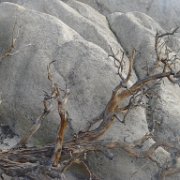 MonoBasin 171 : MonoBasin